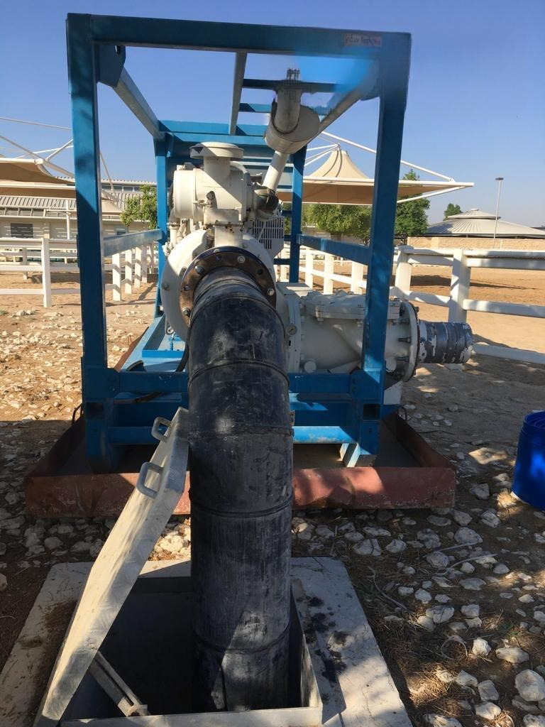 DeWatermark.ai_1735201206642