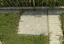 Dubai World Trade Center, Dubai, UAE 4 Picture-2